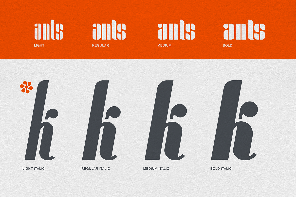 Ponti, a Sans Serif Font by Foundry73 (Photo 4 of 7)