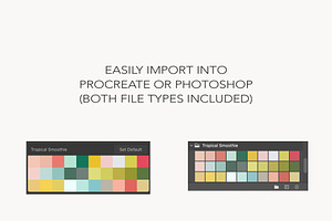 Procreate Color Palette PSD Swatches