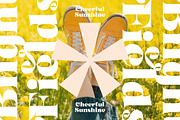 Garden Rosila Modern Retro Serif, a Serif Font by timelesstype.co (Thumbnail 9 of 20)