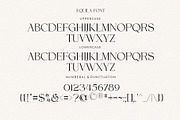 Equila || Display Ligature Serif, a Serif Font by ToniStudio (Thumbnail 8 of 10)