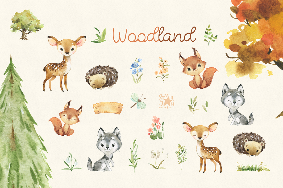 Woodland. Animal Collection, an Animal Illustration by StarJam (Photo 6 of 9)