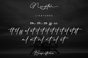 Ningetan Handwritten Font, a Handwritten Font by Basnistudio (Thumbnail 12 of 14)