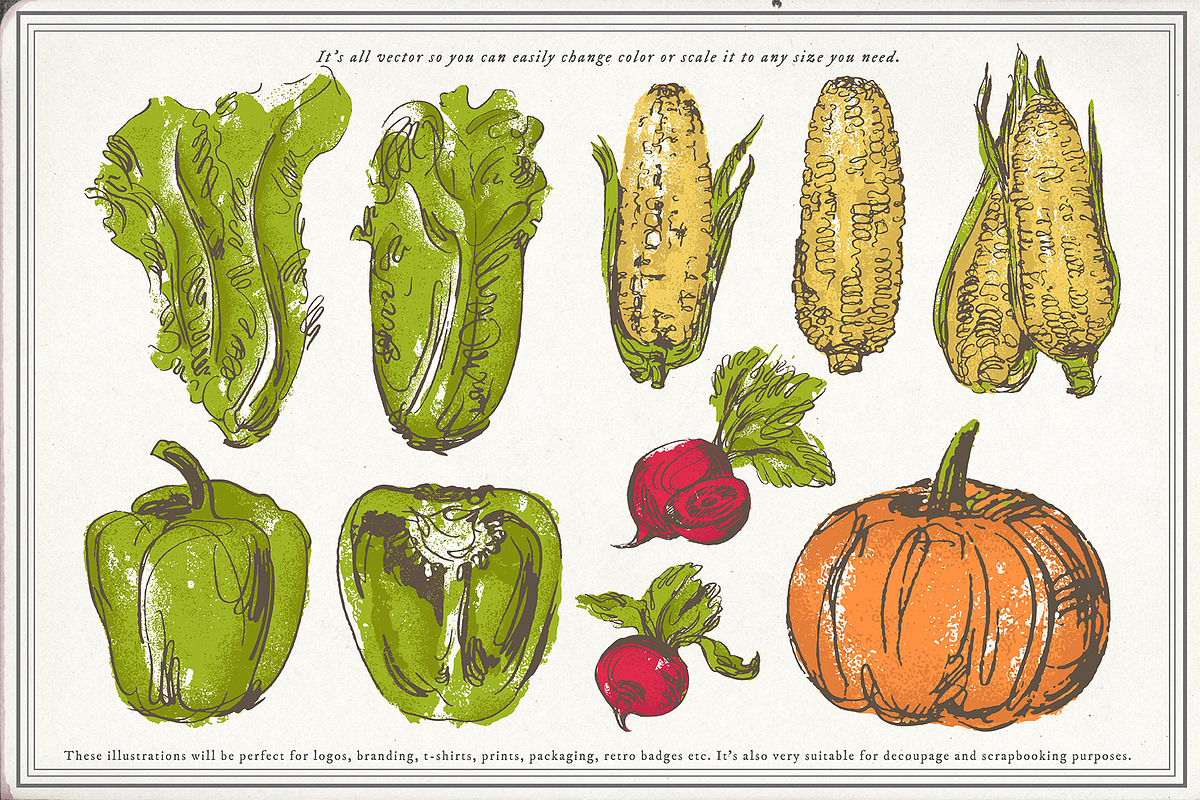 Vegetable collection 1, an Object Graphic by Siosay (Photo 9 of 11)