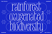 TAN-OAKRIDGE, a Sans Serif Font by TanType (Thumbnail 2 of 10)