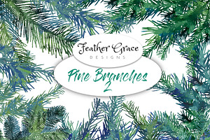 Pine Branches 2