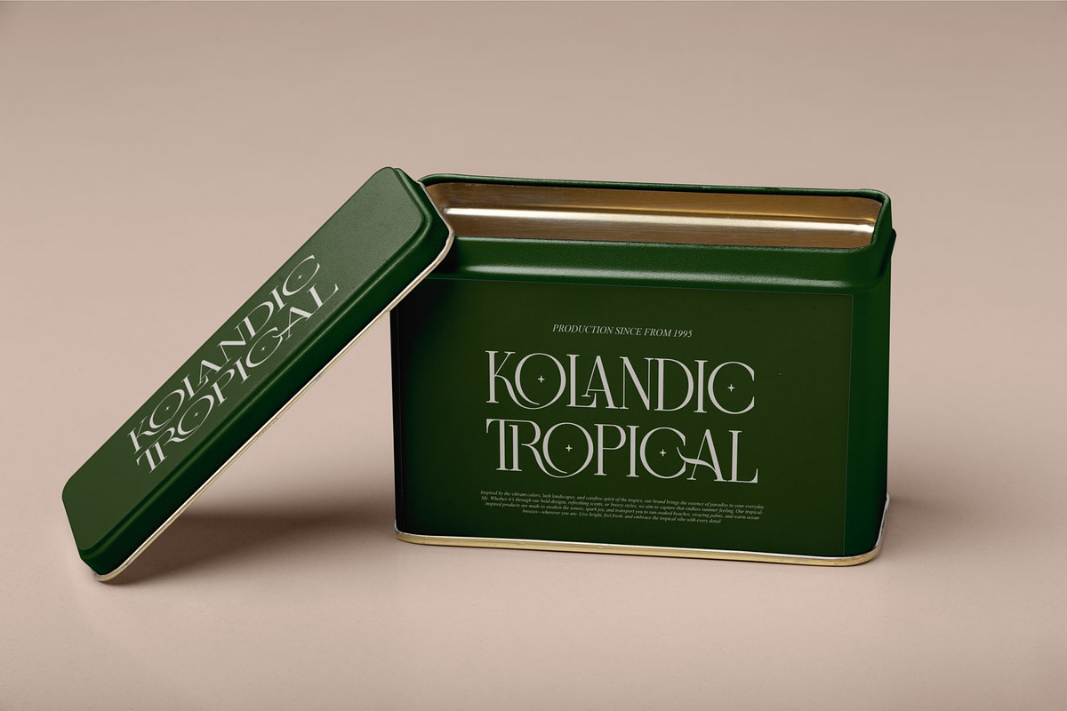 Relindo || Modern Stylish Serif Font, a Serif Font by Ermedia Studio (Photo 4 of 10)