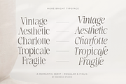 More Bright Serif Duo, a Serif Font by zeenesia (Thumbnail 18 of 18)