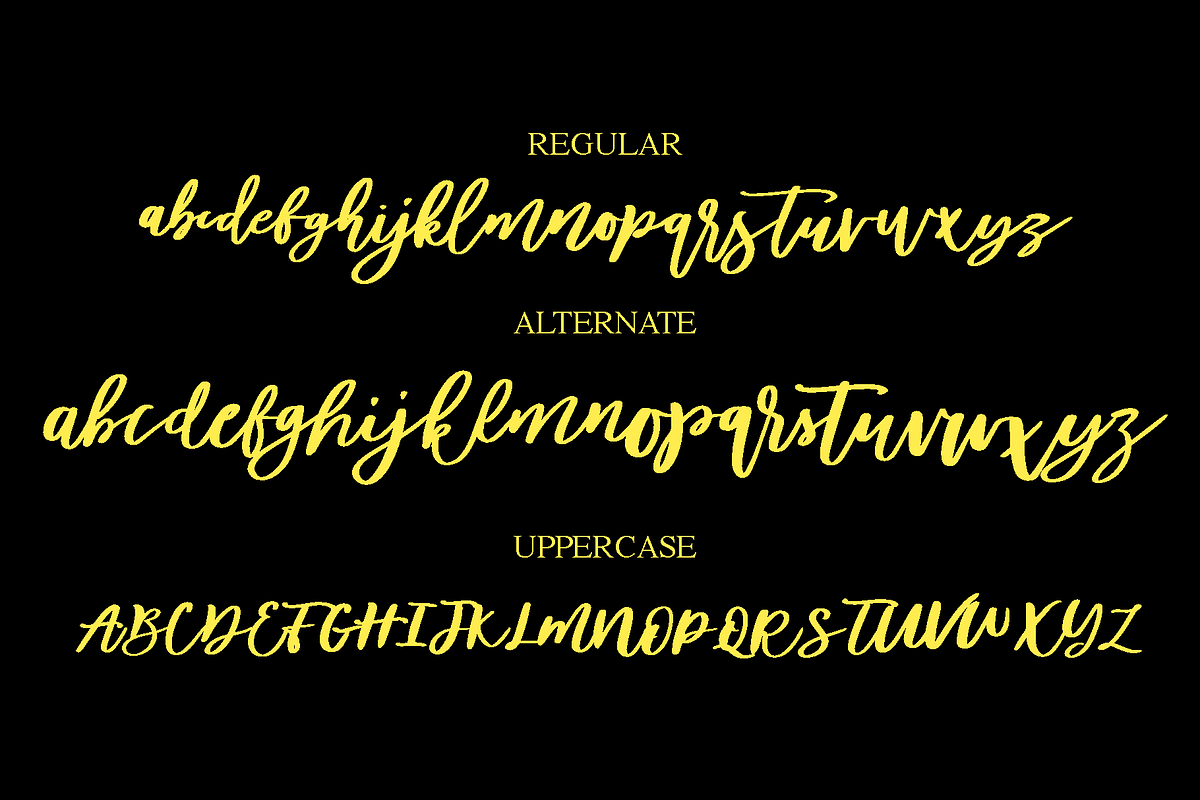 Diveil Script preview 5