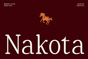 Nakota - Modern Clean Serif Font, a Serif Font by Pekotype (Thumbnail 1 of 15)