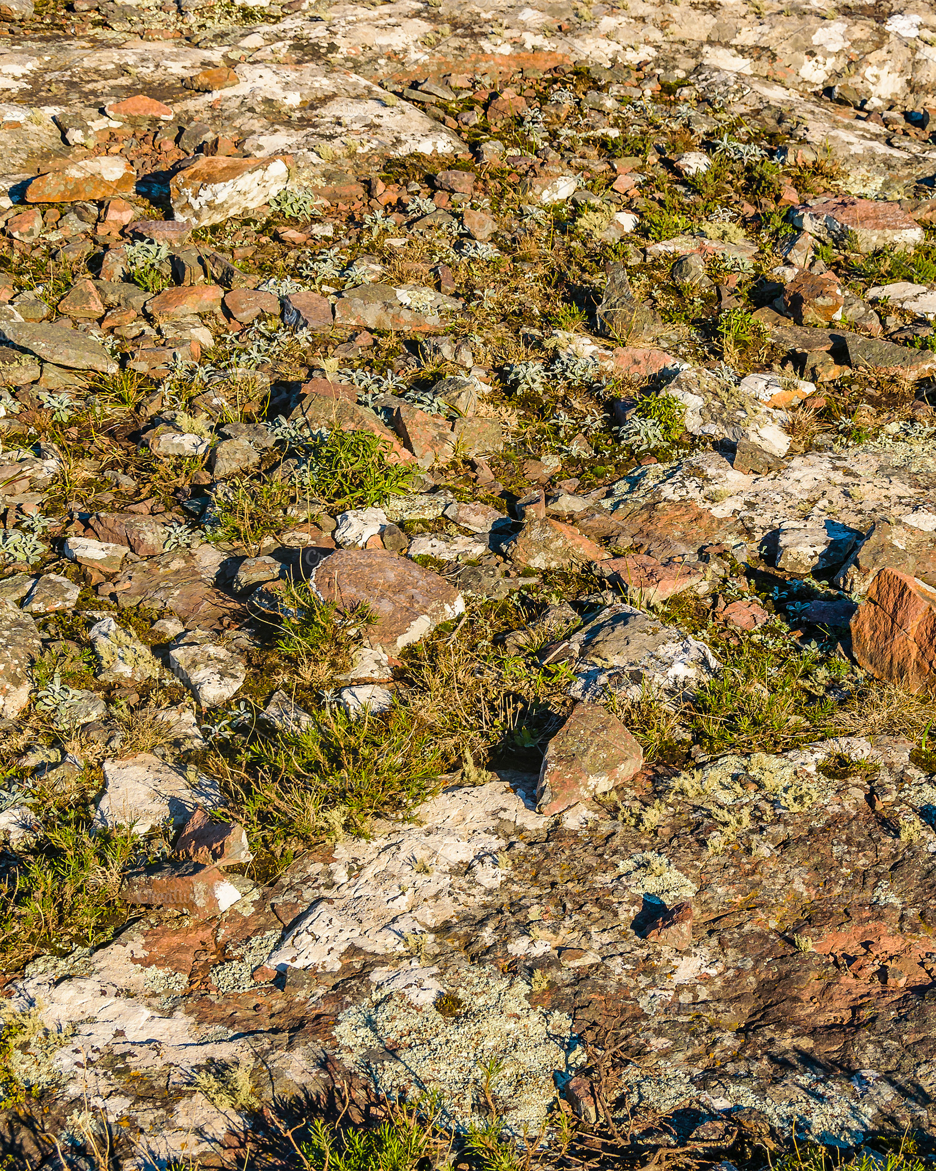 De LAs Animas Mountain Range, Uruguay, a Background Photo by DanFLCreativo