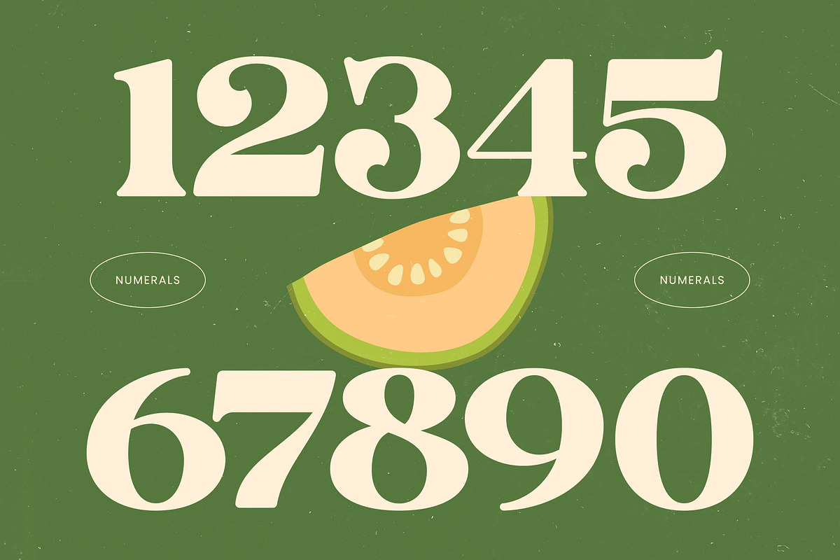 Jungle Melon Groovy Display Serif, a Serif Font by timelesstype.co (Photo 13 of 20)