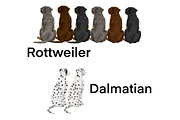 Watercolor Dog Clipart. Dog Breeds, an Animal Illustration by ColorfulPT (Thumbnail 7 of 8)