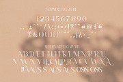 Levaus - Ligature Typeface, a Serif Font by Graphicxell (Thumbnail 15 of 17)