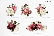 WATERCOLOR BUNDLE Peonies & Roses, an Illustration by ollalya (Thumbnail 5 of 101)