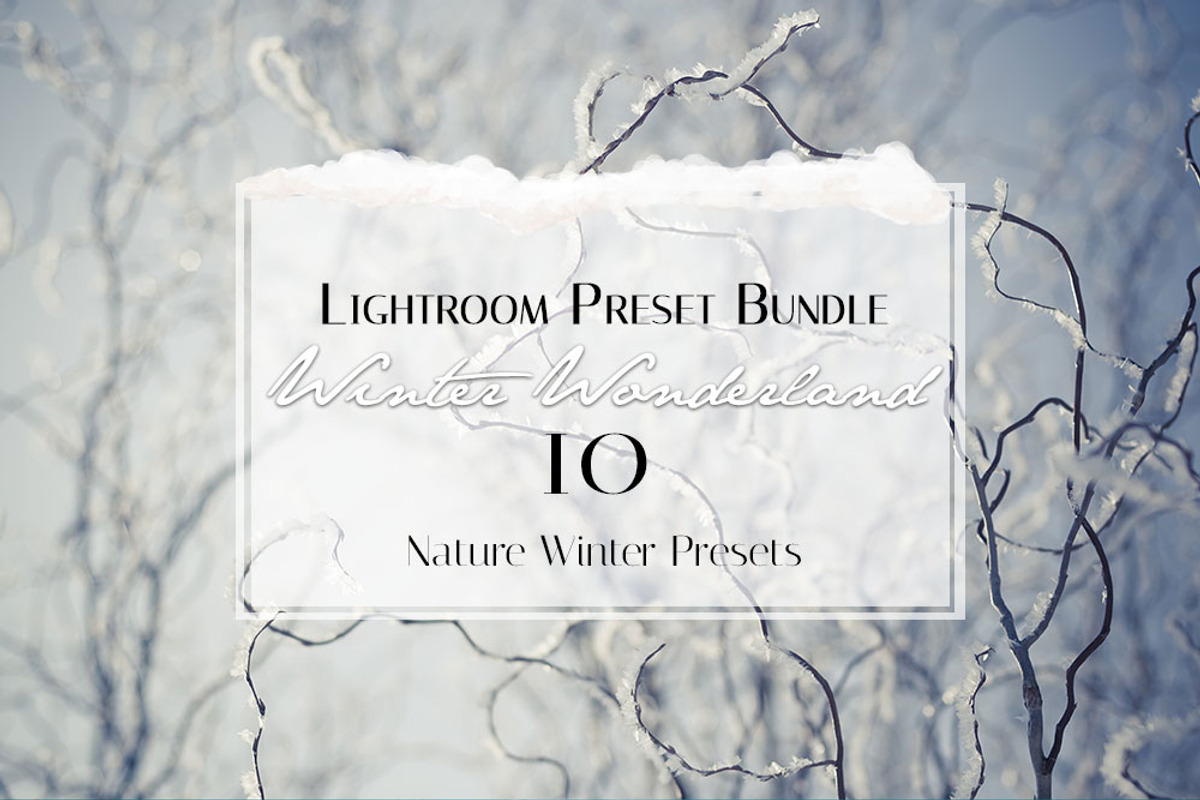 Winter Wonderland Lightroom Preset, a Plug-in Add-On by Jana Mänz Photography (Photo 8 of 8)