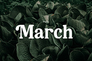 Green Apple, a Serif Font by Aditastudios (Thumbnail 6 of 6)
