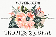 11500! ALL GRAPHICS BUNDLE, an Animal Illustration by Spasibenko Art (Thumbnail 30 of 31)