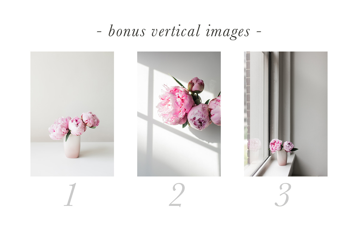 Pink Peony Bundle + 3 Bonus Images, a Nature Photo by Light & Grace (Photo 3 of 8)