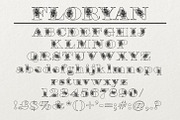 Floryan & FloryAnna Font Duo, a Font by Digital Typeface Studio (Thumbnail 7 of 7)