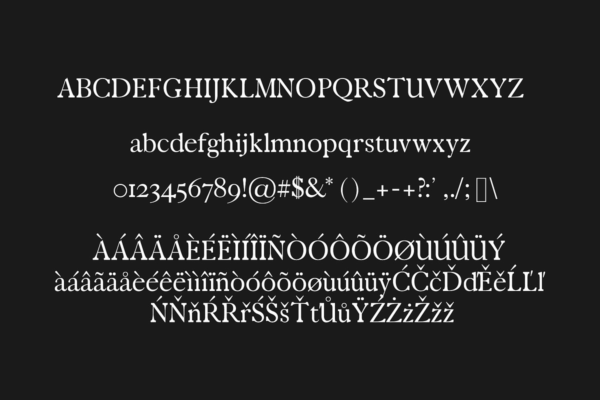 Zack Serif 4 Font Family Pack preview 2