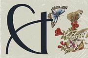 Elio & Oliver - An 18-Font Typeface, a Sans Serif Font by SilverStag Type Foundry (Thumbnail 5 of 20)