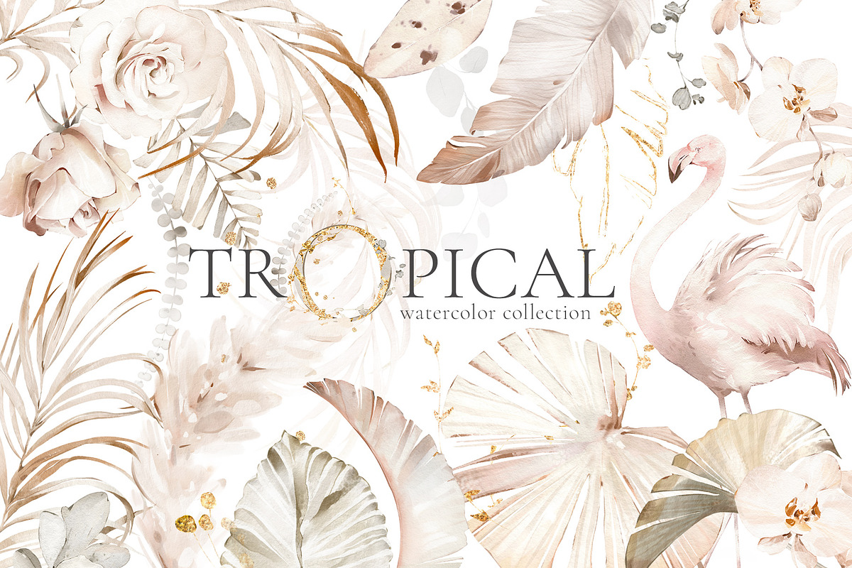 Tropical Watercolor Creamy Set, an Illustration by Lisima (Photo 1 of 11)
