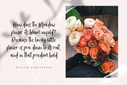 Vetto Rosella - Handwritting Font, a Script Font by Graphicfresh (Thumbnail 6 of 8)