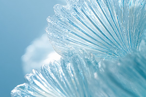 Abstract blue glass petals showing delicate textures and soft li, a Photo by Studio ANNA