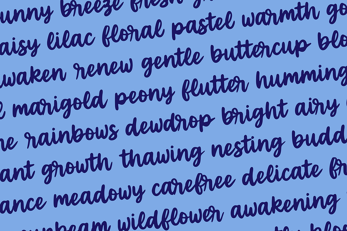SOFTEST PETAL Vintage Brush Font, a Script Font by Blush Font Co. (Photo 4 of 6)