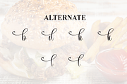 Junkfood | Script Font, a Handwritten Font by Scratchones (Thumbnail 8 of 9)