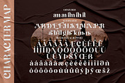 Bergante Classy Serif Font, a Script Font by Storytype Studio (Thumbnail 6 of 7)