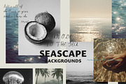 SEASCAPE Line, Seashells & Textures, an Object Graphic by Lana Elanor (Thumbnail 6 of 11)