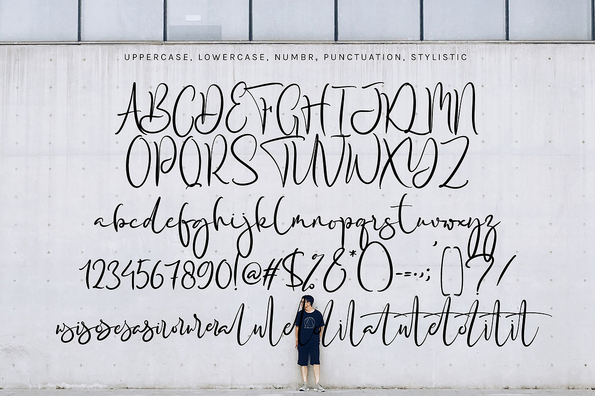 Darita Sent, a Script Font by pineungtype (Photo 7 of 7)