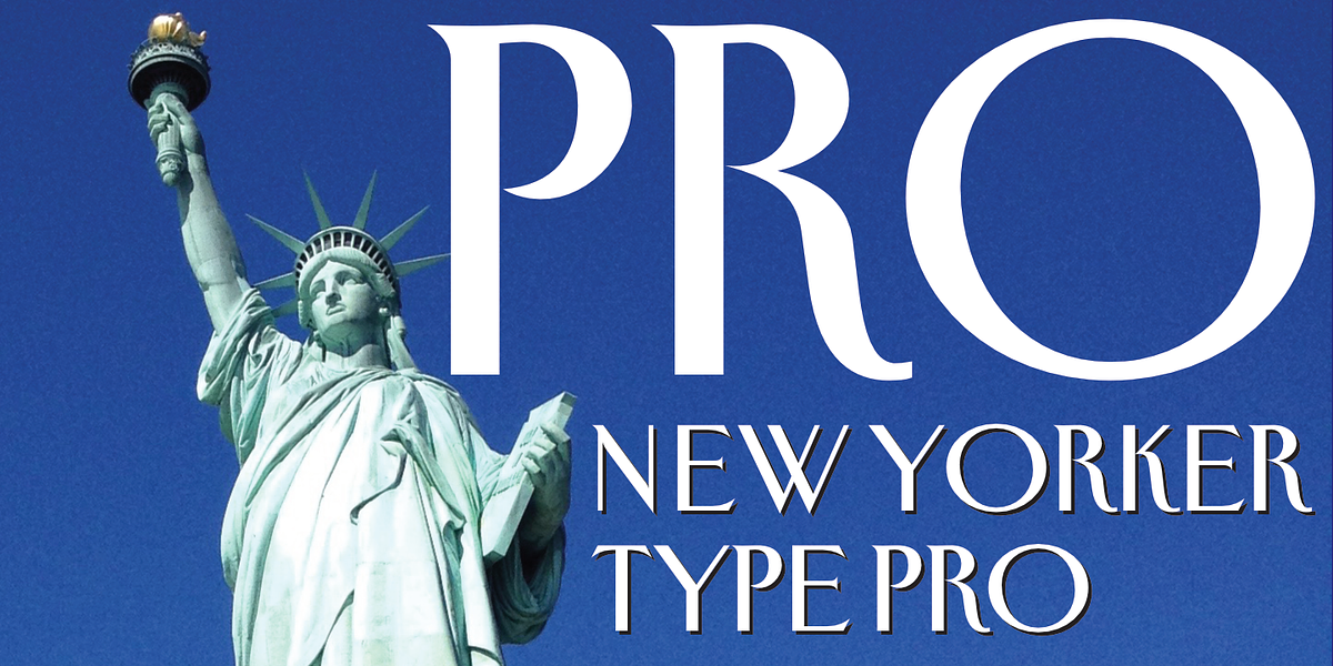 New Yorker Type Pro, a Serif Font by Wiescher-Design (Photo 1 of 8)