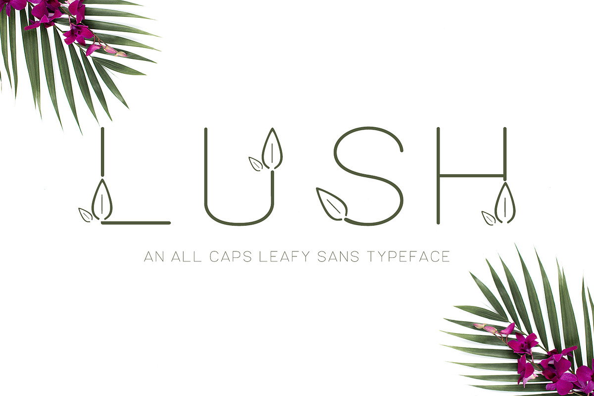 Lush Sans Font with Leaves, a Font by Beck McCormick (Photo 1 of 7)