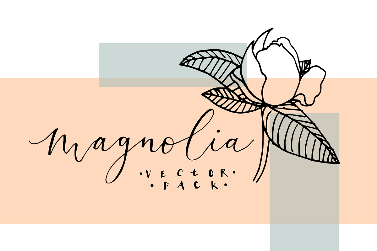 20+ Magnolia Flower Illustrations, an Illustration by The Higgins Creative (Photo 3 of 3)