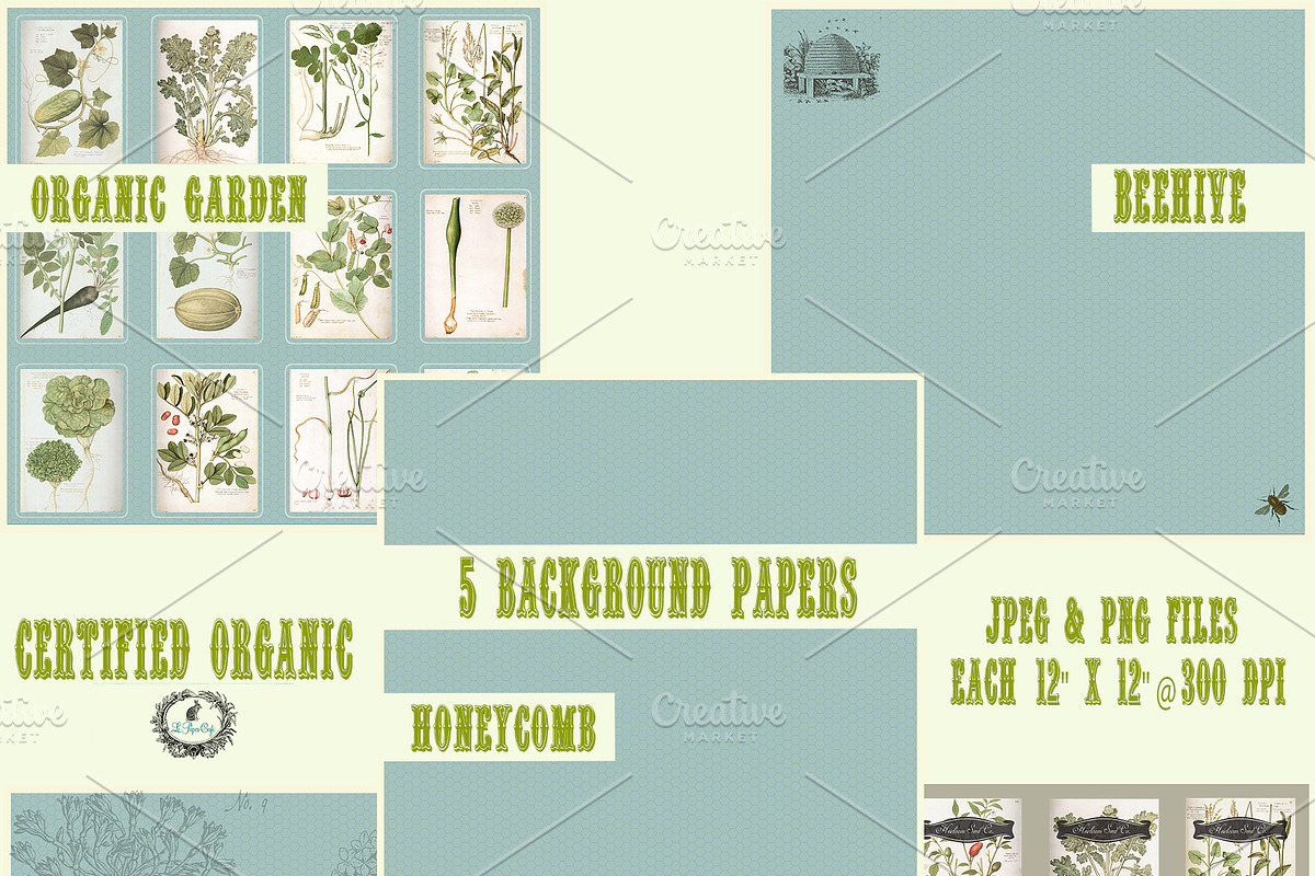 Certified Organic Clipart & Brushes preview 4