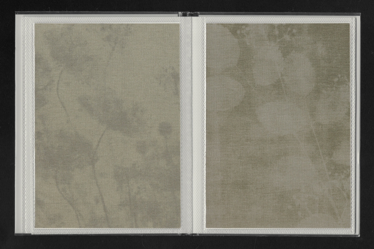 Faded Herbarium: Texture Backgrounds, a Texture Graphic by lerinartstudio (Photo 5 of 13)