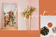 Anglesit - Modern Casual Chic Font, a Script Font by DoubleZ Studio (Thumbnail 11 of 11)