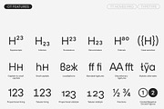 TT Hoves Pro Basic, a Font by TypeType (Thumbnail 12 of 15)