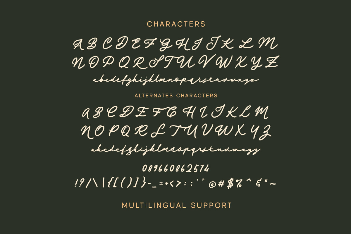 Magic Gleam - Script Handwritten, a Script Font by Letterhend Studio (Photo 7 of 9)