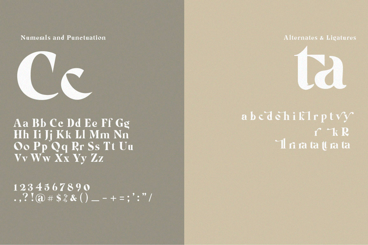 Bright Yellow Serif ( Bonus Fonts), a Serif Font by Anxiety Studio (Photo 18 of 19)