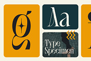 SLTF BOXROOM - Modern Serif Typeface, a Serif Font by SilverStag Type Foundry (Thumbnail 12 of 30)
