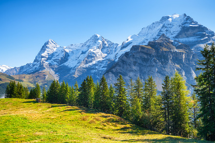 Mountains peaks, forest and meadow, a Nature Photo by Landscape and travel