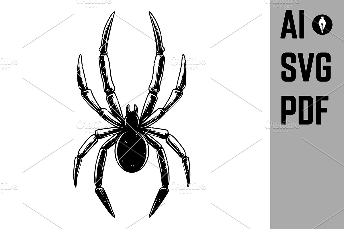 Illustration of spider., an Object Graphic by Vectorhight