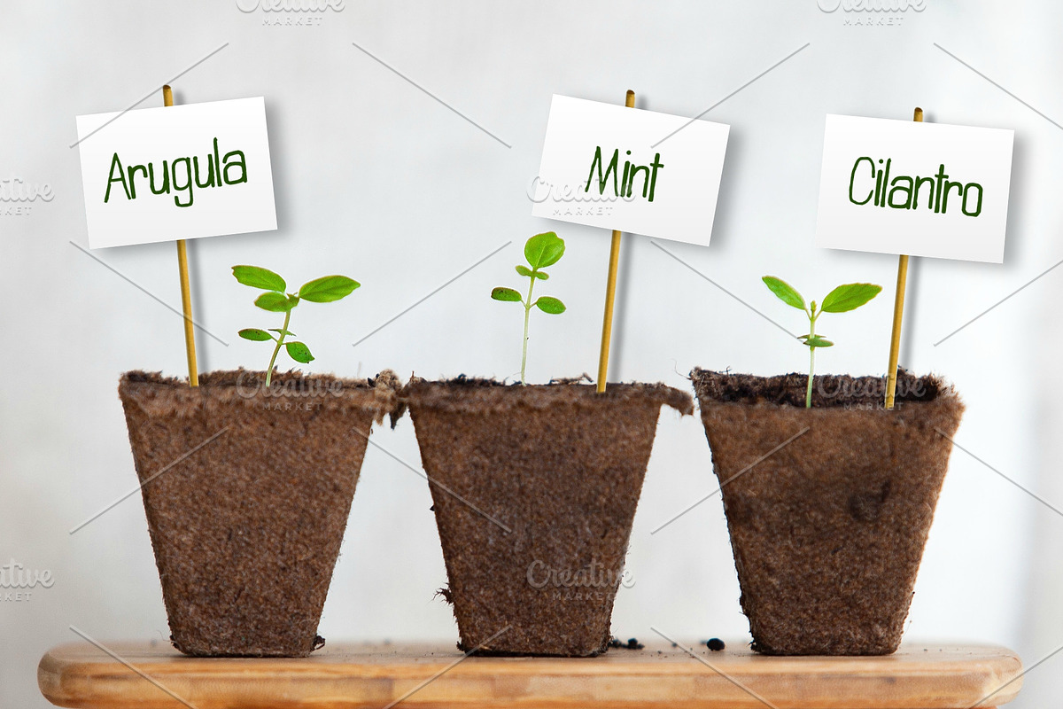 Willow & Thyme with Logo Ornaments preview 7