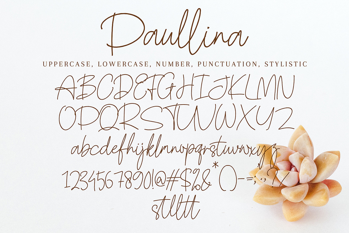 Paullina, a Script Font by pineungtype (Photo 9 of 9)