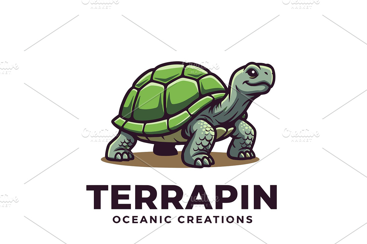 Terrapin – Crafted by the Sea, an Animal Illustration by Izdihaar_Studio (Photo 2 of 3)