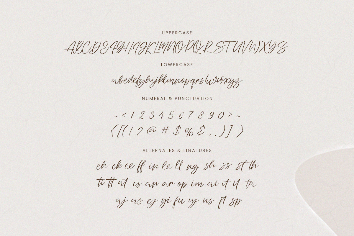 Our Beloved Matcha - Elegant FontDuo, a Serif Font by ClevUs (Photo 13 of 13)