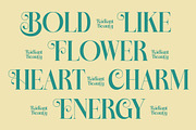 Dudga Baloval Elegant Serif Font, a Serif Font by timelesstype.co (Thumbnail 4 of 20)